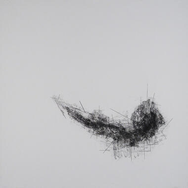 Joshua Meilleir, Untitled, 2011