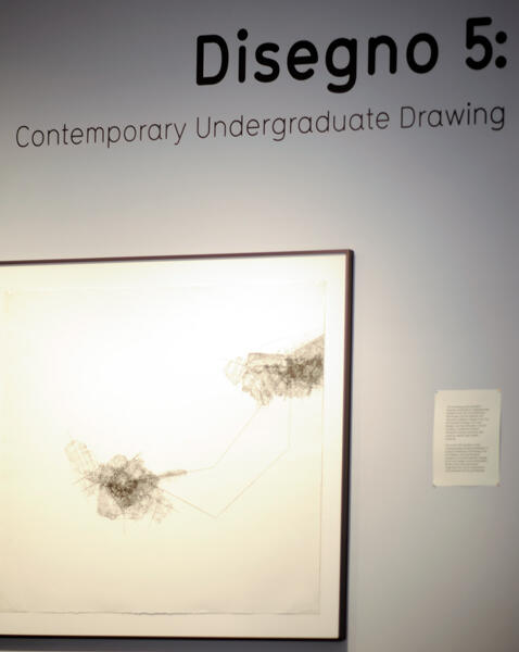 Disegno 5: Contemporary Undergraduate Drawing