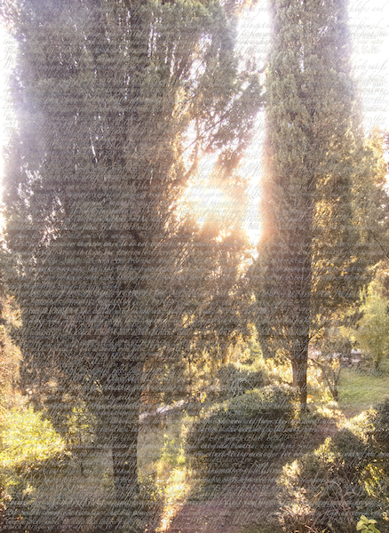 Joyce Lyon, In the Garden: Overlaid with Texts from the Jewish Bible, the Christian Bible, the Koran, and the Book of Mormon, 2015, archival digital print, 22 in. x 17 in. 