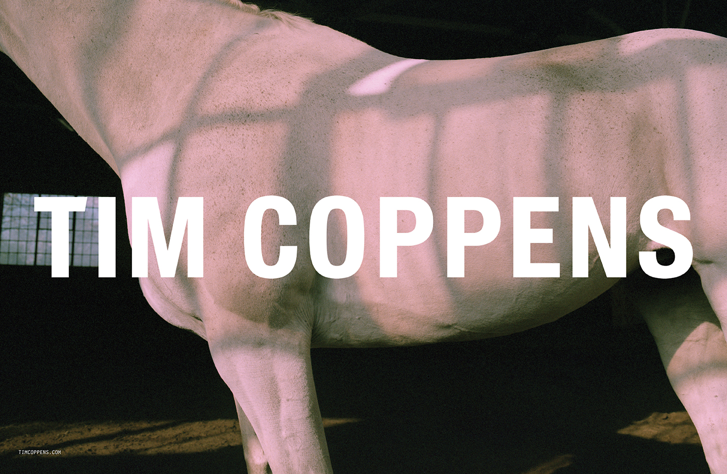 "Tim Coppens" advertisement by Anthony Konigbagbe