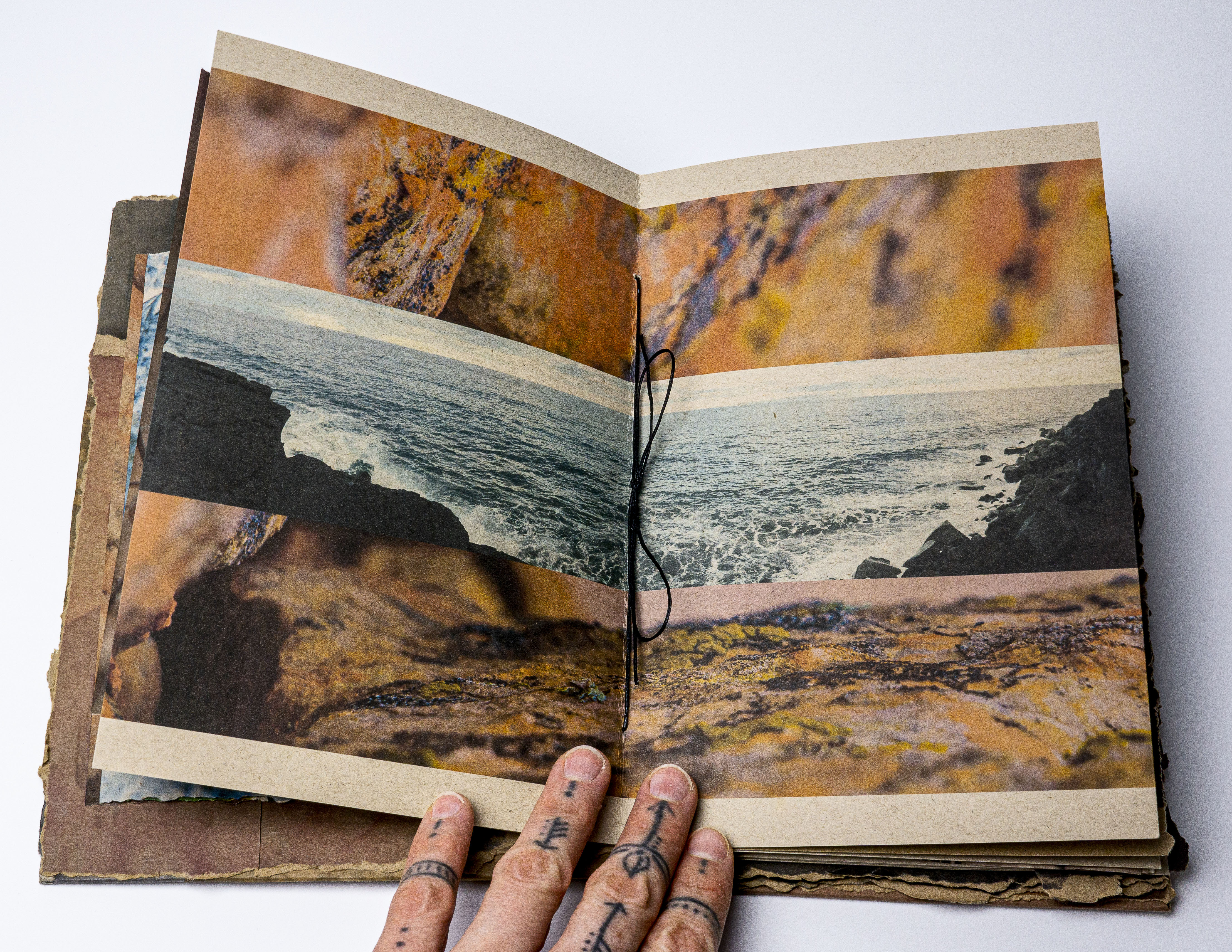 Nature inspired artist book by Jessica Tevik.