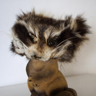 Pam Valfer, Proycon lotor, 2010, plastic flocked banks with recycled animal fur mask Dimensions: 5.5”x 4”x 4”