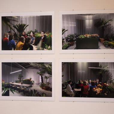 seeing plants exhibition documentation 