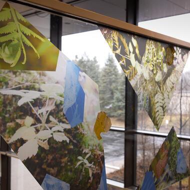 seeing plants exhibition documentation 