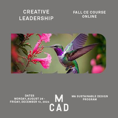 Creative Leadership - Hummingbird