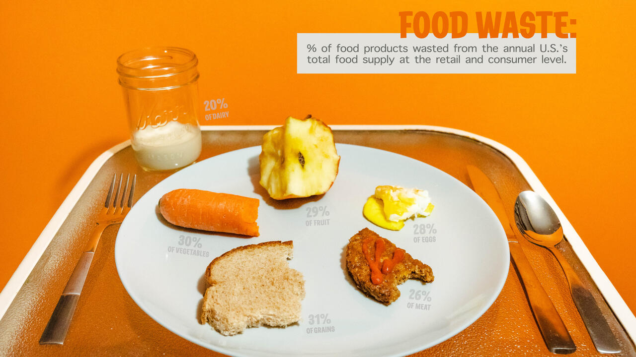 Food Waste Installation with bread, apple, carrot, milk, etc.