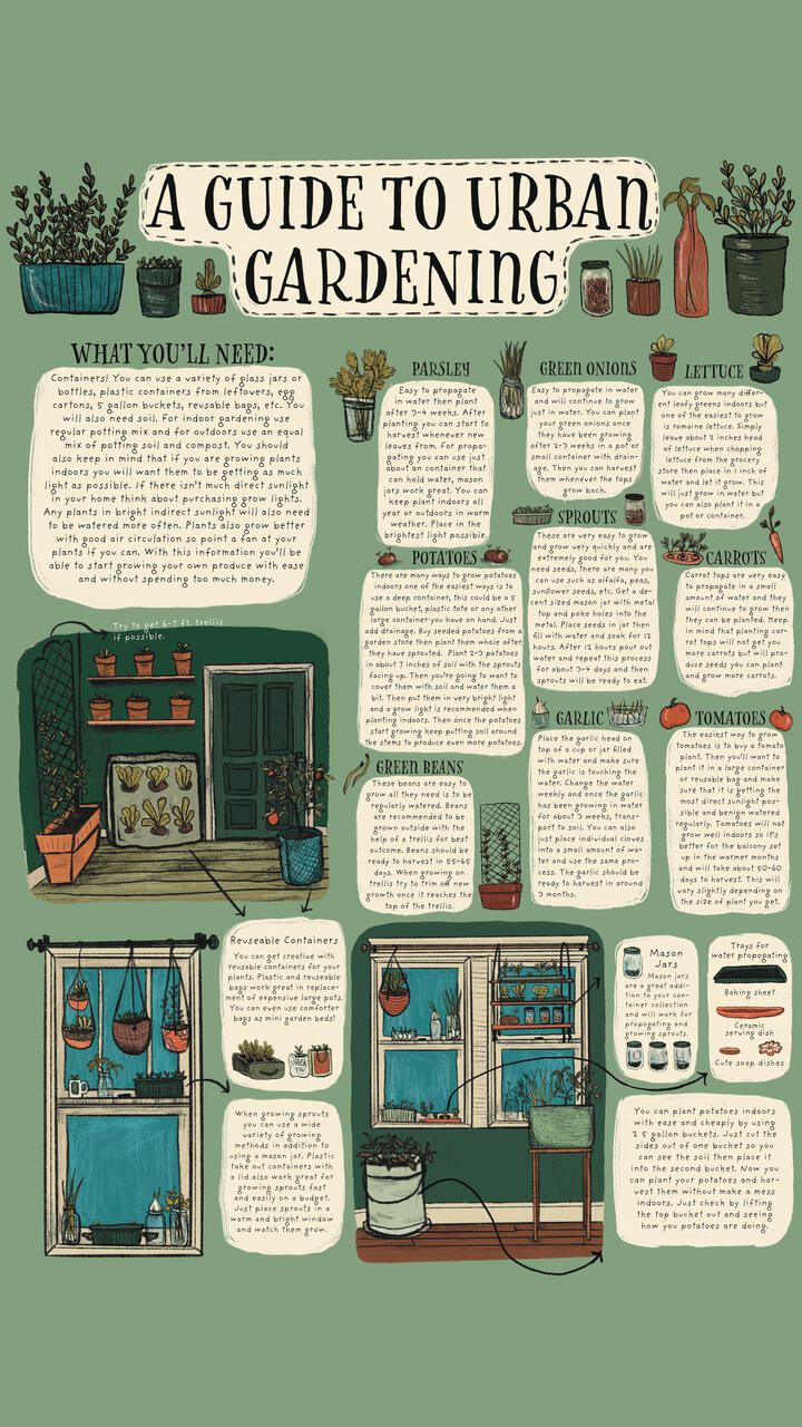 Guide to Urban Gardening | Minneapolis College of Art and Design