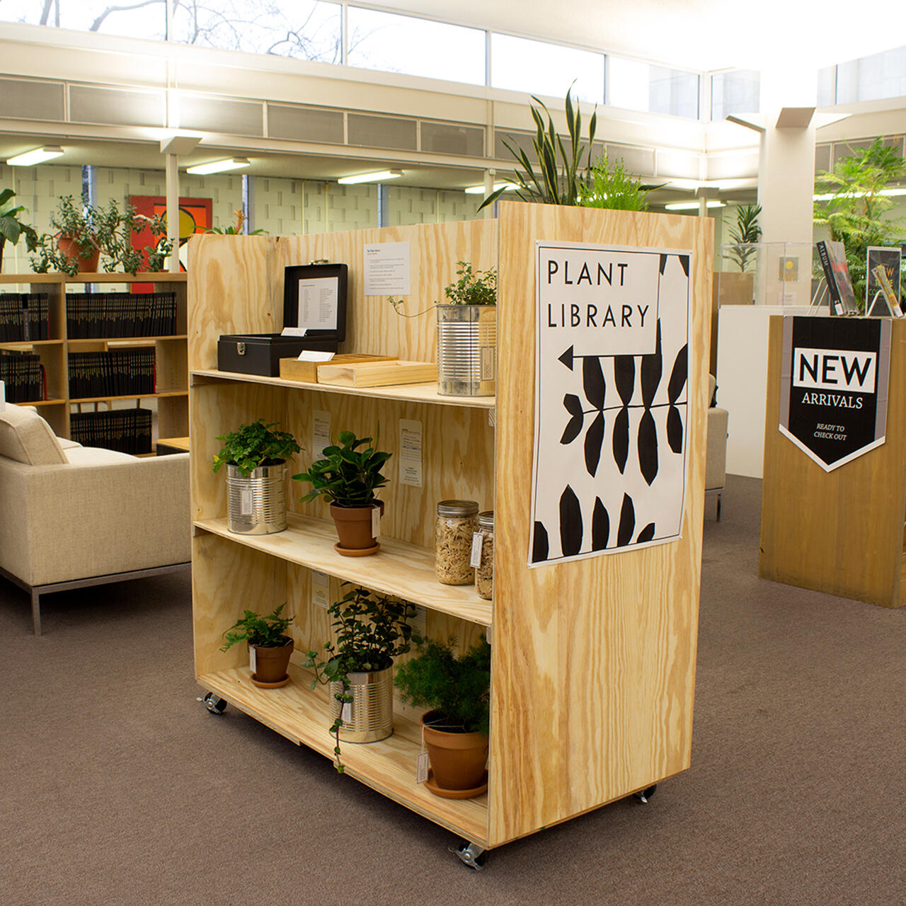 A curated shelf of plants in the MCAD library