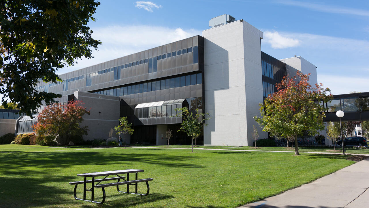 MCAD lawn in the fall