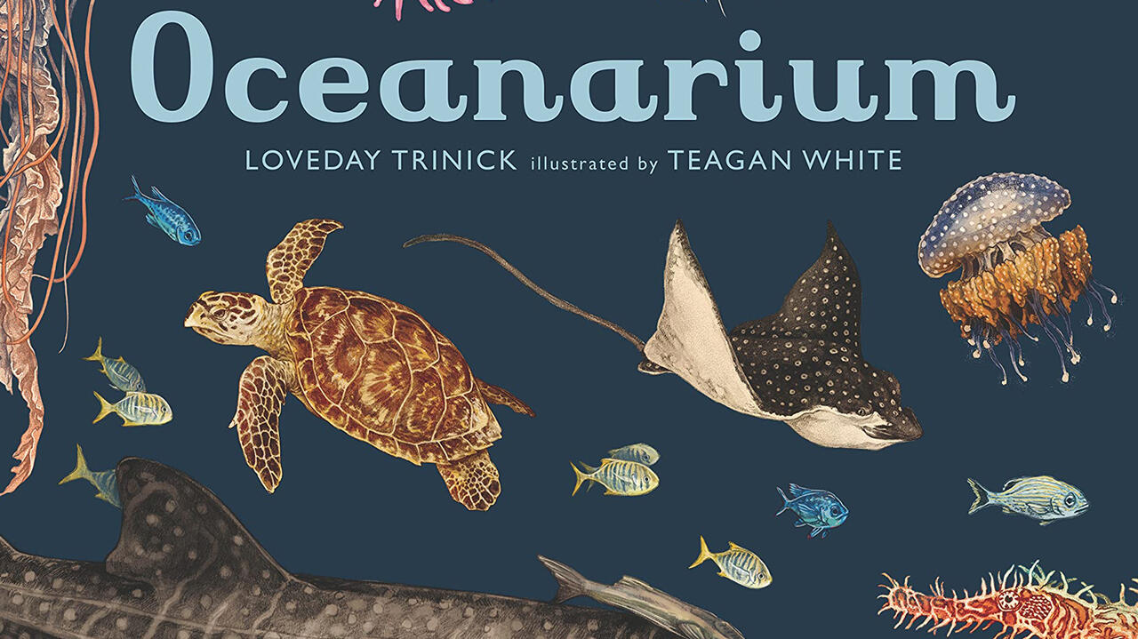 The cover of Oceanarium. A dark blue background filled with bright realistic illustrations of many different sea creatures. There is baby blue text that says "Oceanarium"