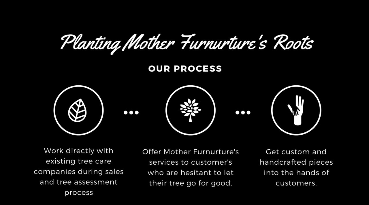 Planting Mother Furniture's Roots project proposal by Meghan Meehan