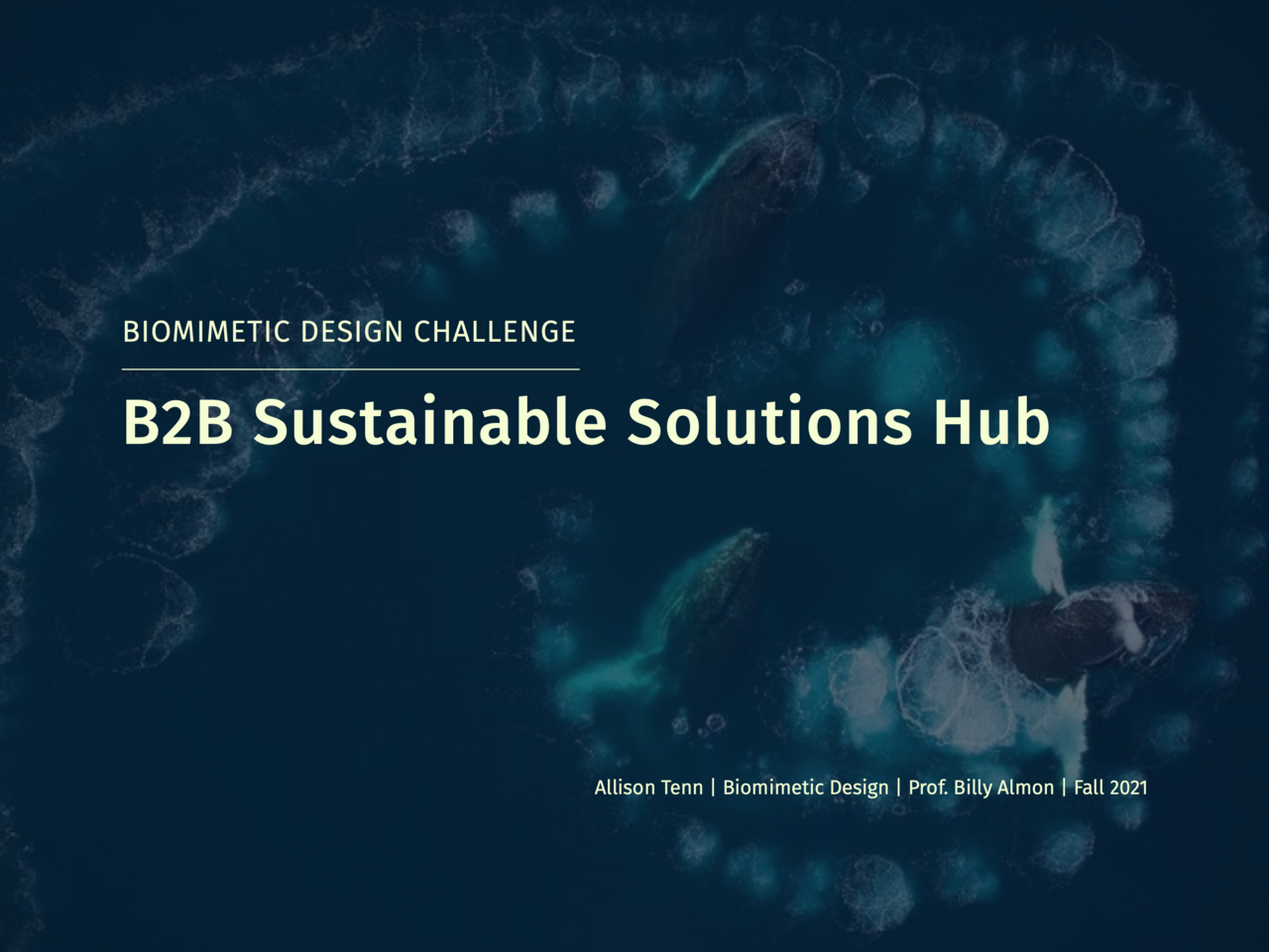 B2B Sustainable Solutions Hub presentation by Allison Tenn