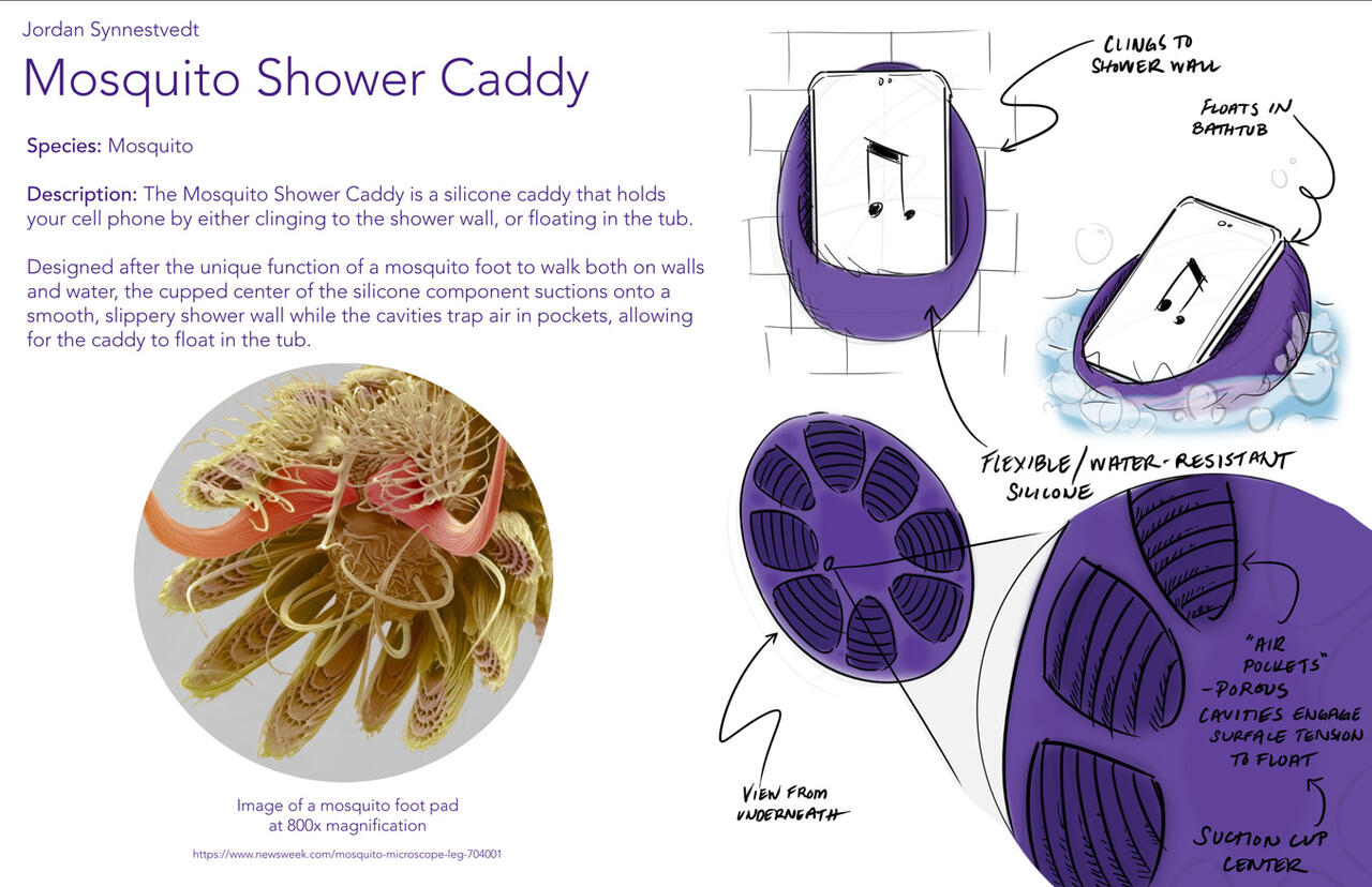 Mosquito Shower Caddy design by Jordan Synnestvedt
