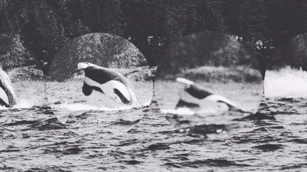 A black and white image of an orca jumping out of the water, there is a close up of the orca in the photograph.