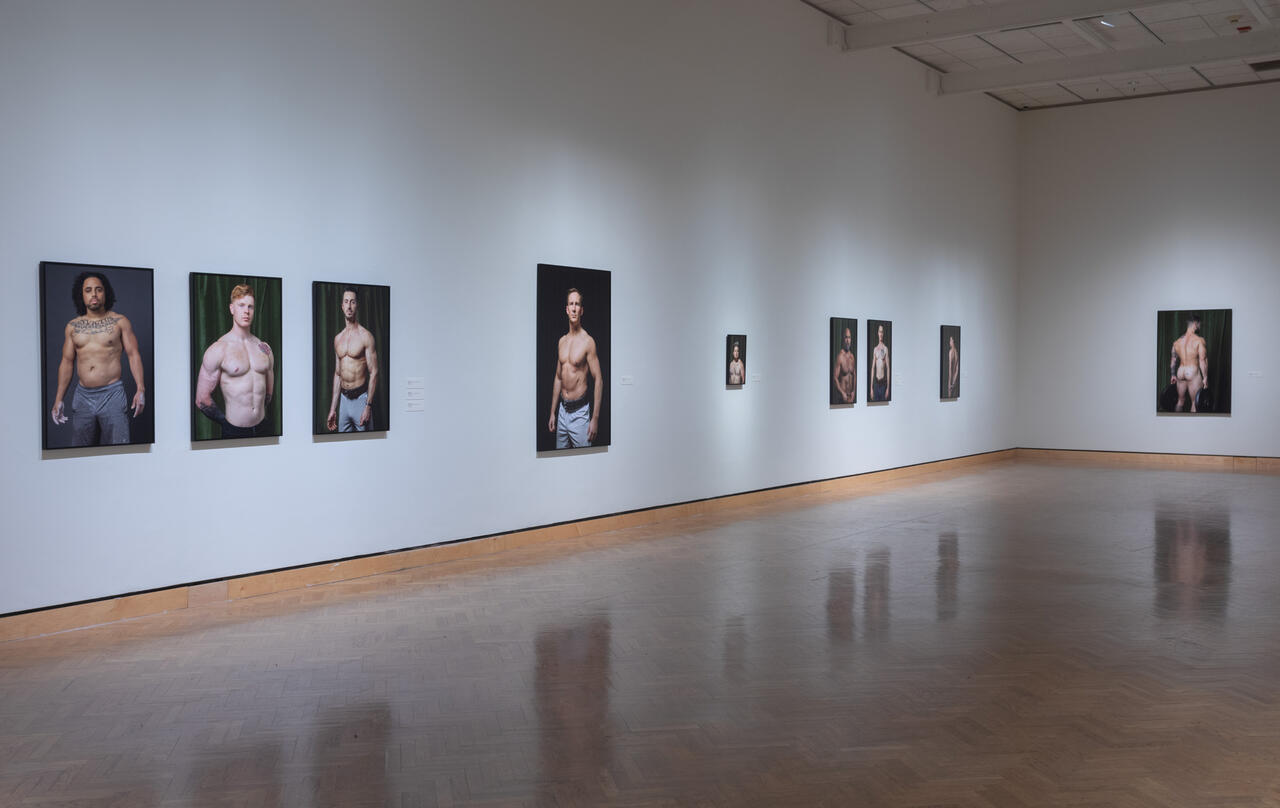 A gallery featuring various images of the male body.