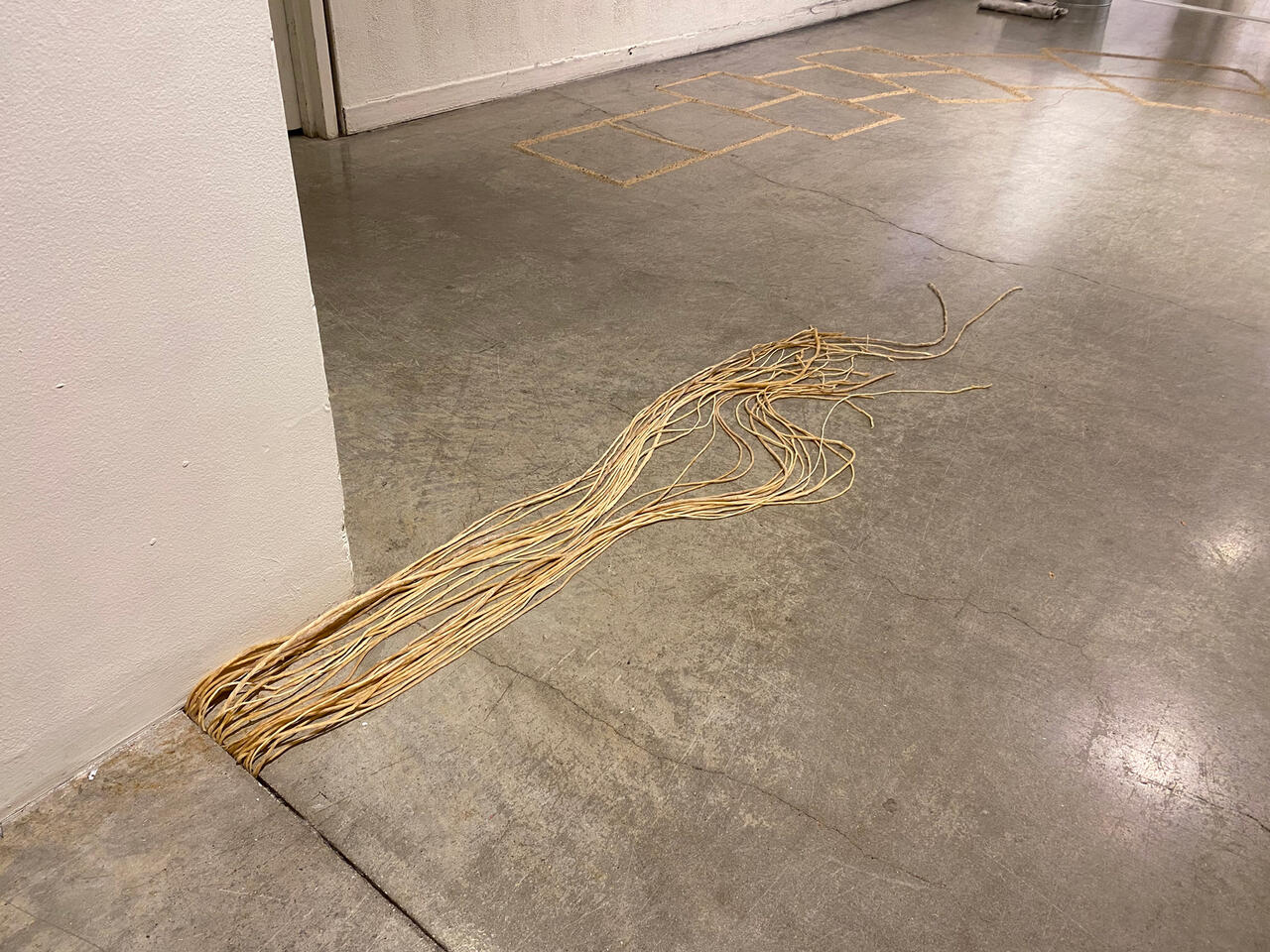 Installation with ropes