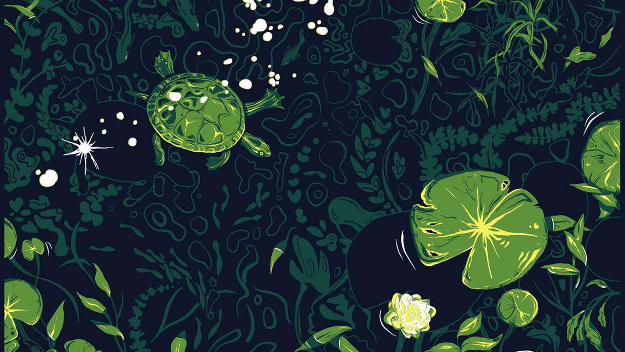 A monochrome green digital art piece featuring a turtle swimming in a pond full of lily pads and different greeneries