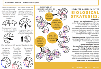 Biological strategies graphic by Kelly Wilcox